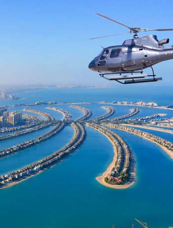 16864958955092-341 16864958955092-341